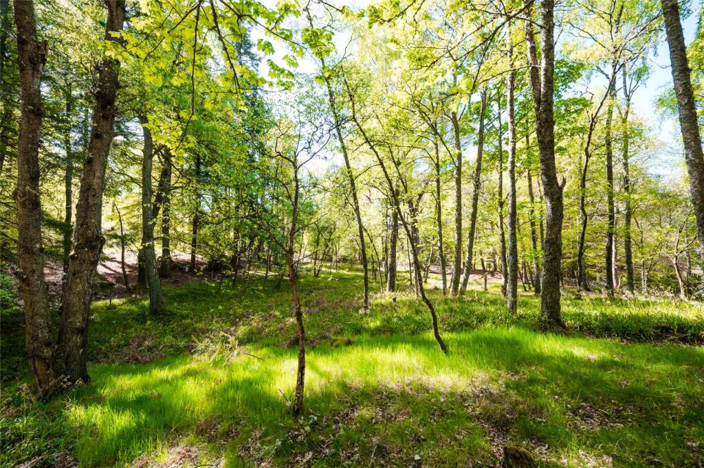 Additional image 57 of South Manse and Coo Hoose, Birse, Aboyne, Aberdeenshire, AB34