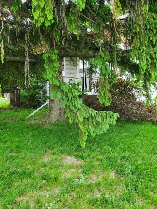 Additional image 9 of 314 West 2nd St