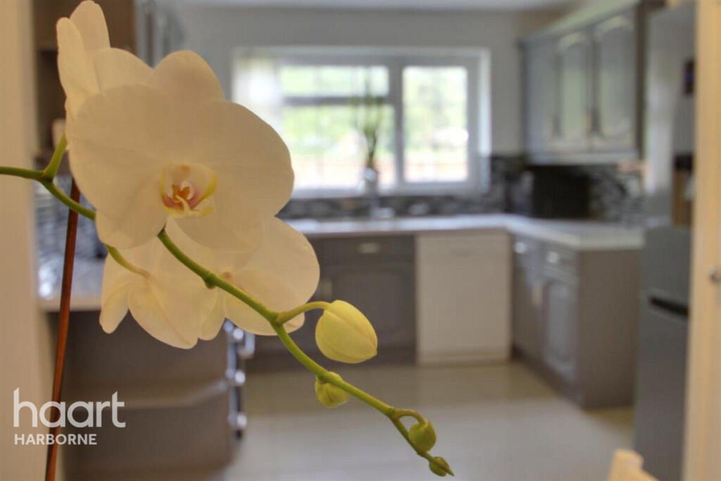 Additional image 8 of Lamont Avenue, Quinton