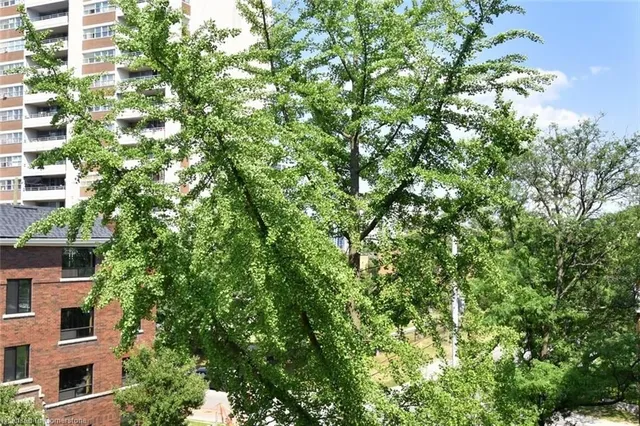 Additional image 33 of 75 Duke St Unit 410