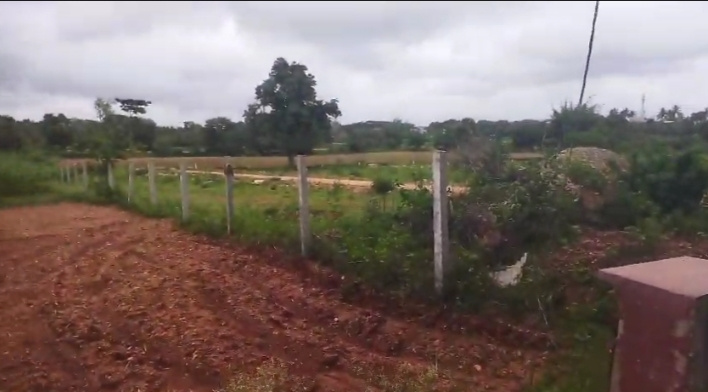 Additional image 2 of Varuna, Mysore