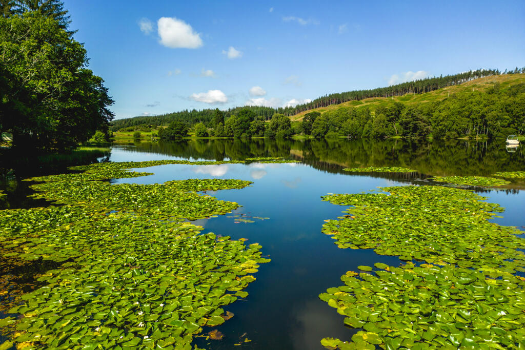 Additional image 38 of Loch View, Aboyne, Aberdeenshire