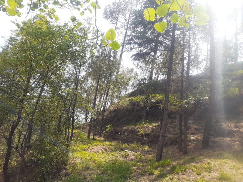 Additional image 2 of Lower Bazar, Shimla