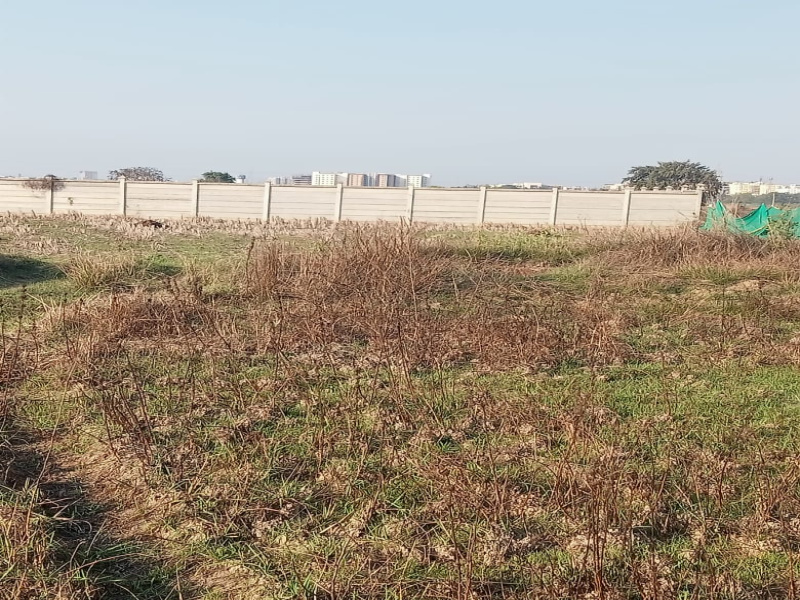 Additional image 3 of Patrapada, Bhubaneswar