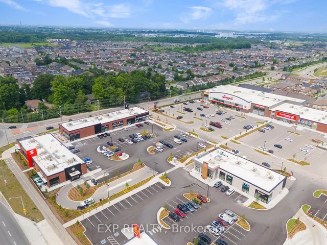 Additional image 8 of 49 Scots Pine Tr