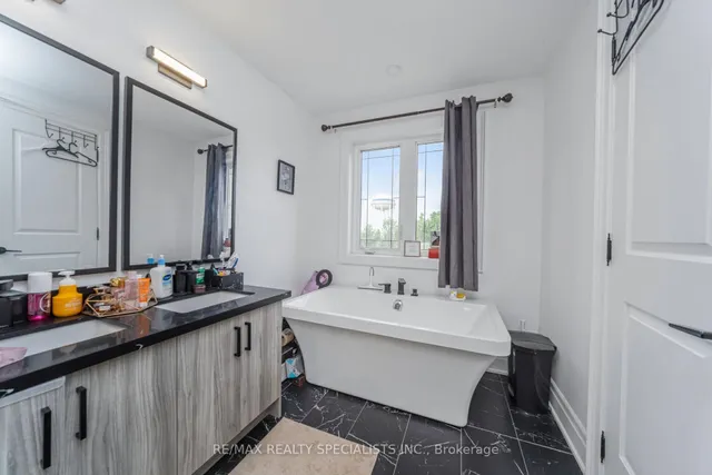 Additional image 22 of 111 Iceland Poppy Tr