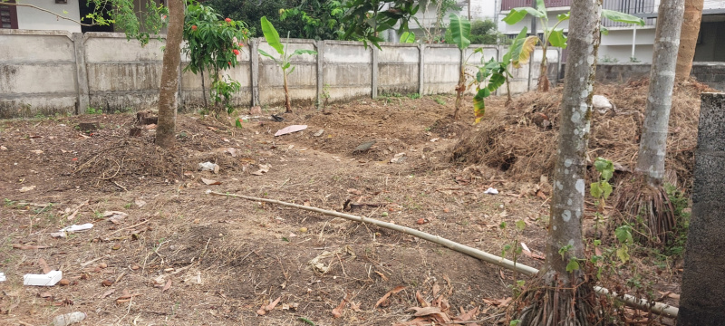 Additional image 3 of Nedumbassery, Kochi