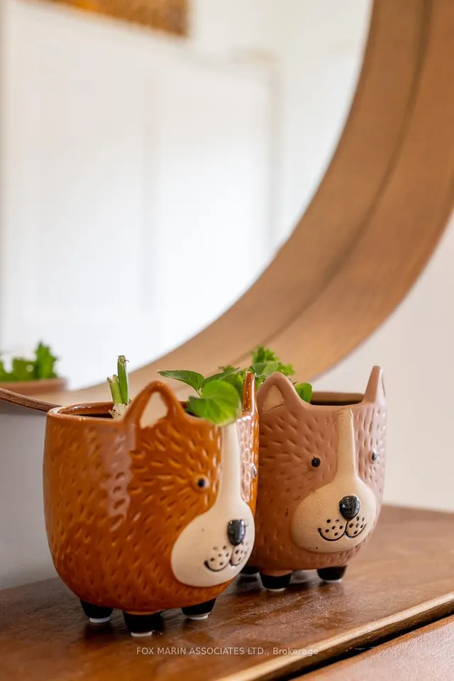 Additional image 19 of 73 Foxley St