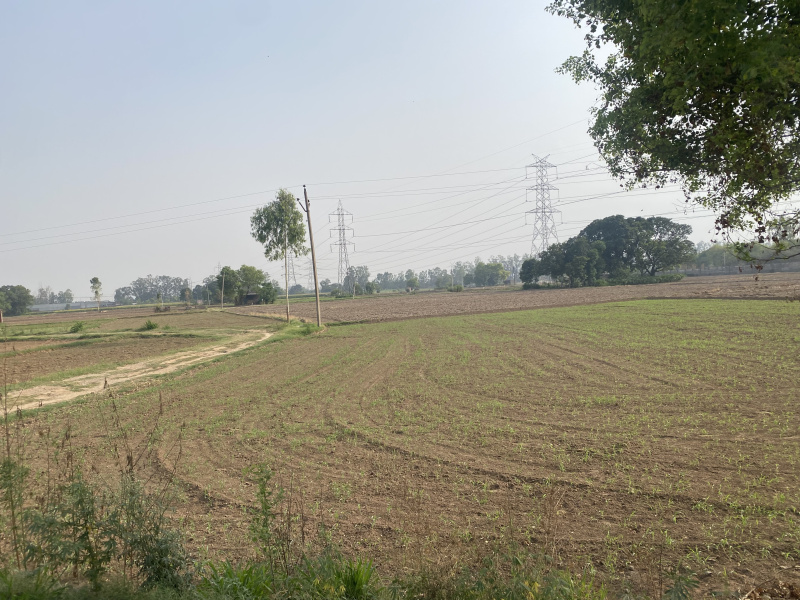 Additional image 3 of Ecocity Phase 2, New Chandigarh, Chandigarh