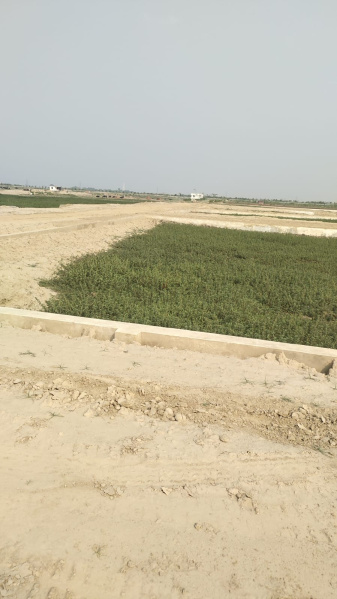 Additional image 3 of Kauriya Jungle Village, Gorakhpur