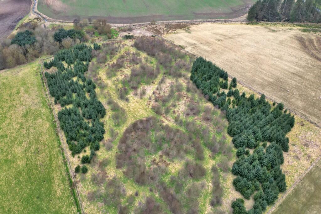Additional image 24 of Mathas Cottage and Commonty Farm, Ellon AB41 8QX