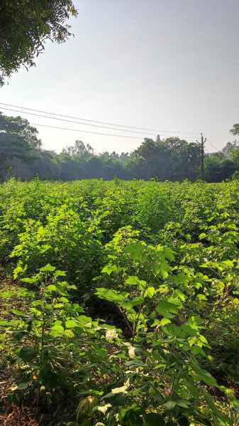 Additional image 3 of GIDC Industrial Area, Vadodara