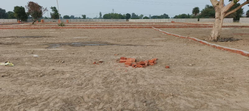 Additional image 2 of Mandhana, Kanpur