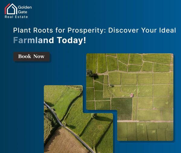 Chandi Kotla, Panchkula