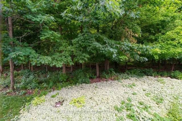 Additional image 27 of 175 David Bergey Dr Unit P87