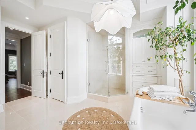 Additional image 31 of 253 River Birch St