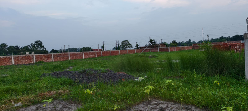 Barasat, Kolkata photo 3