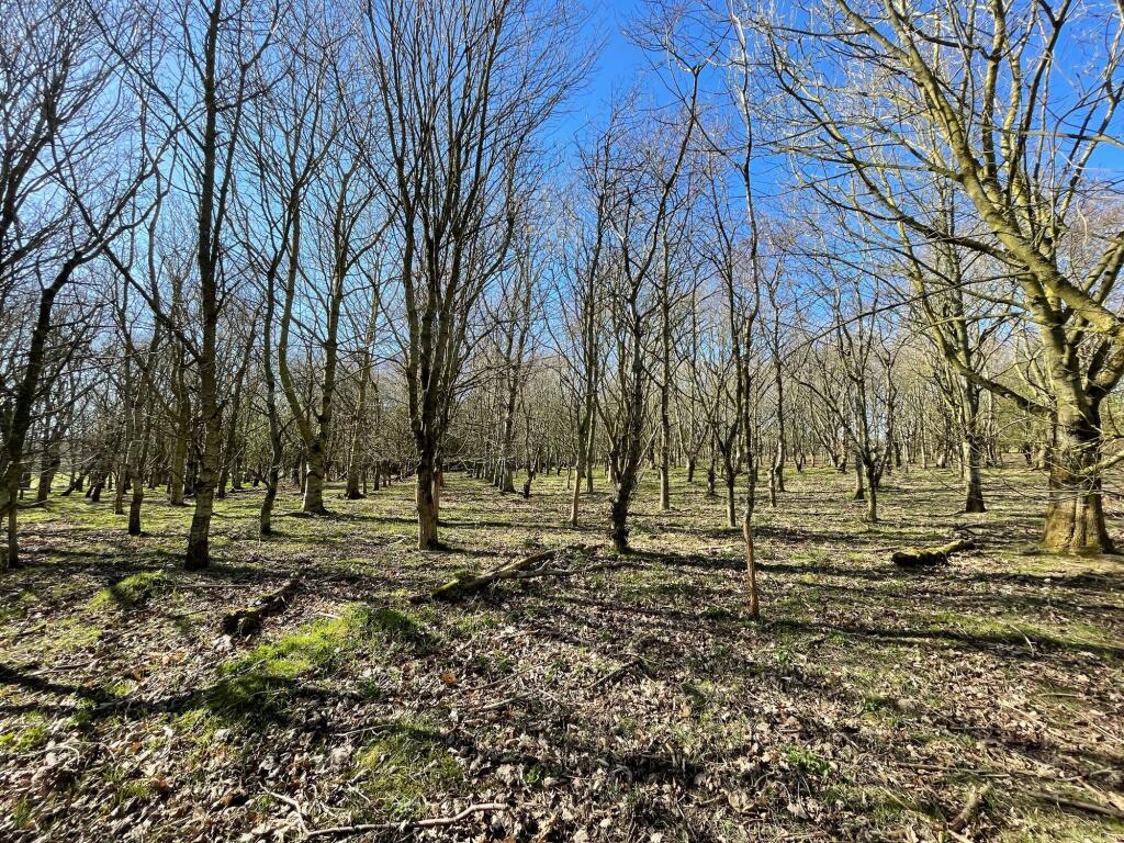 Additional image 45 of Maud, Peterhead, AB42