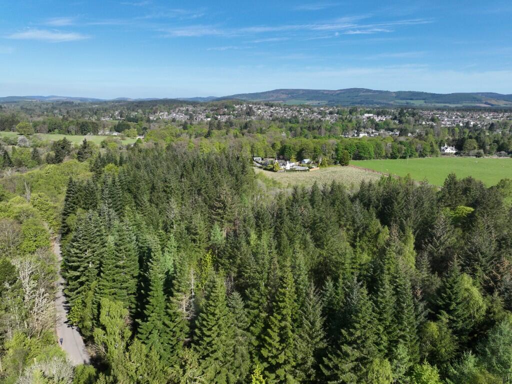 Additional image 9 of Minnonie Woodland, Falls of Feugh, AB31