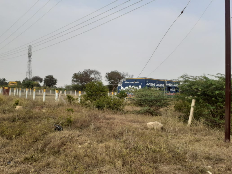 Additional image 2 of Eliyarpatthy, Madurai