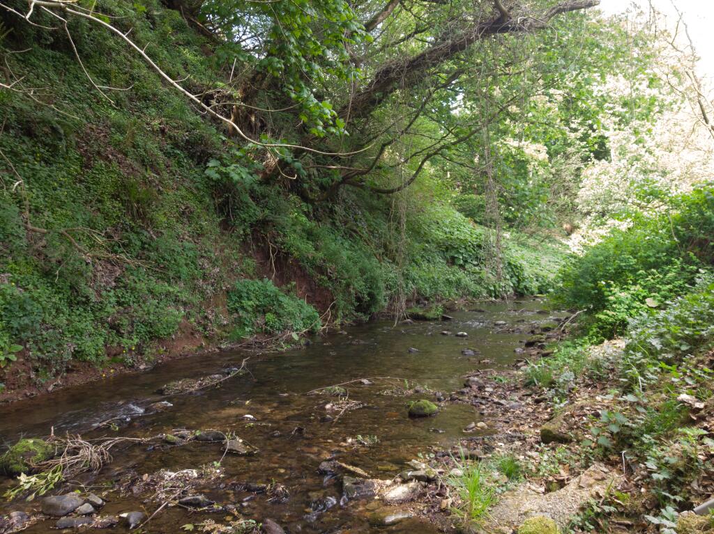 Additional image 31 of The Waters, Auchenblae, AB30