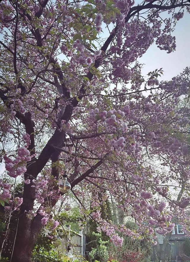 Additional image 28 of 412 Coxwell Ave