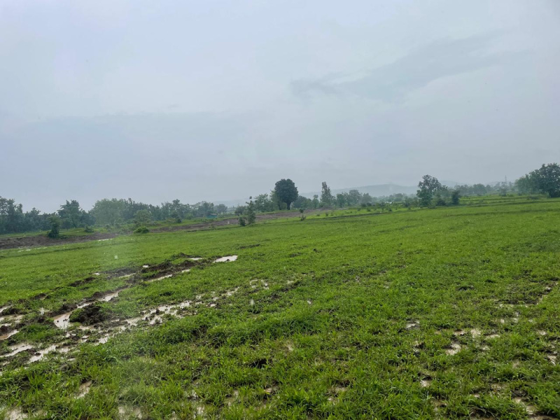 Additional image 3 of Bardoli, Surat