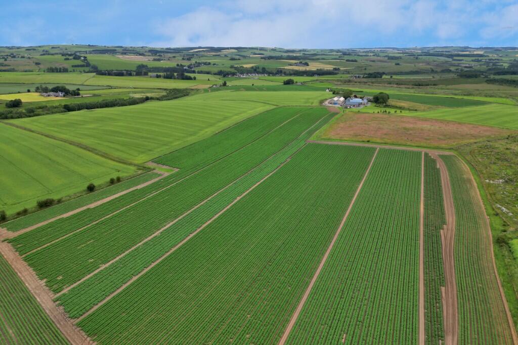 Additional image 10 of Land & Buildings at Collynie, Methlick, AB41 7EB