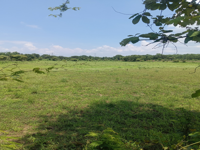 Additional image 3 of Dhamna, Nagpur