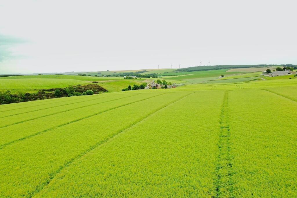 Additional image 18 of 1 Thorneybank Cottages, Rothienorman, Inverurie