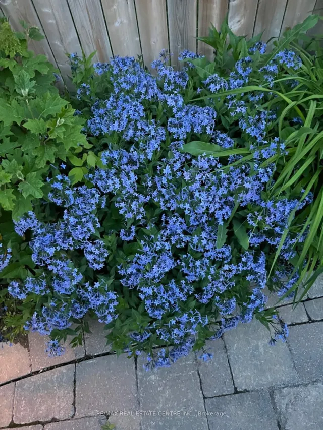 Additional image 47 of 369 Wilson Dr