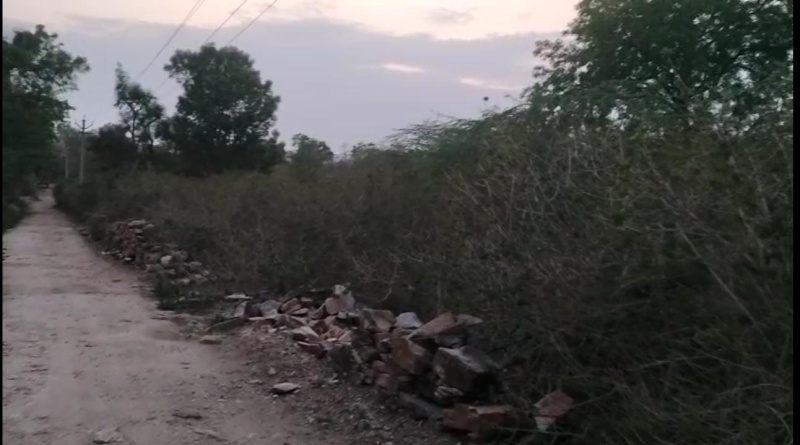 Property image for Dabok, Udaipur