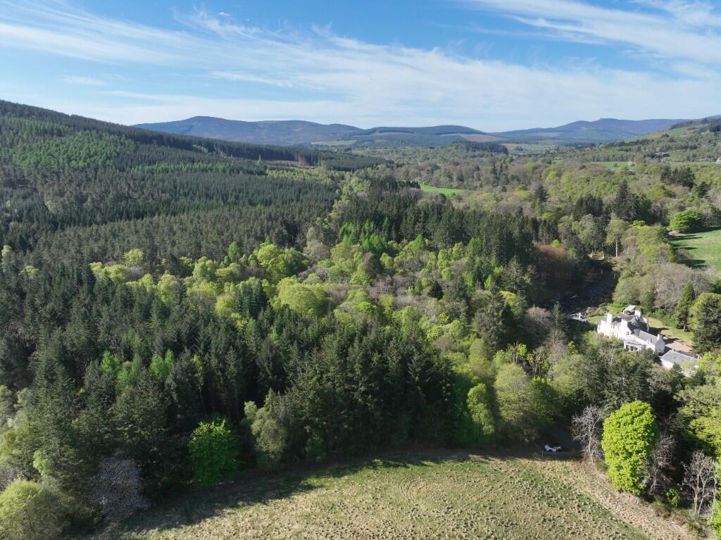 Additional image 5 of Minnonie Woodland, Falls of Feugh, AB31