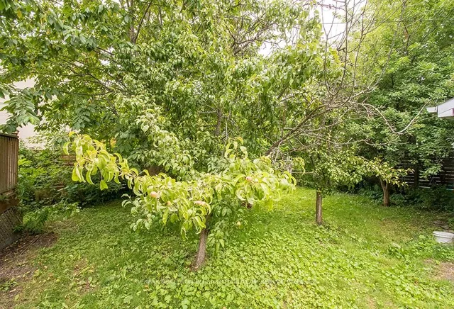 Additional image 16 of 29 Roseland Dr