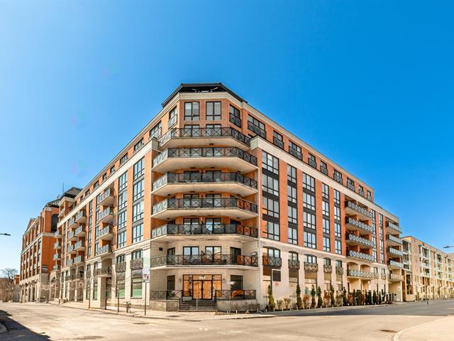 285 Av. Laurier E.|#103|Montréal (Le Plateau-Mont-Royal), Quebec H2V4H3