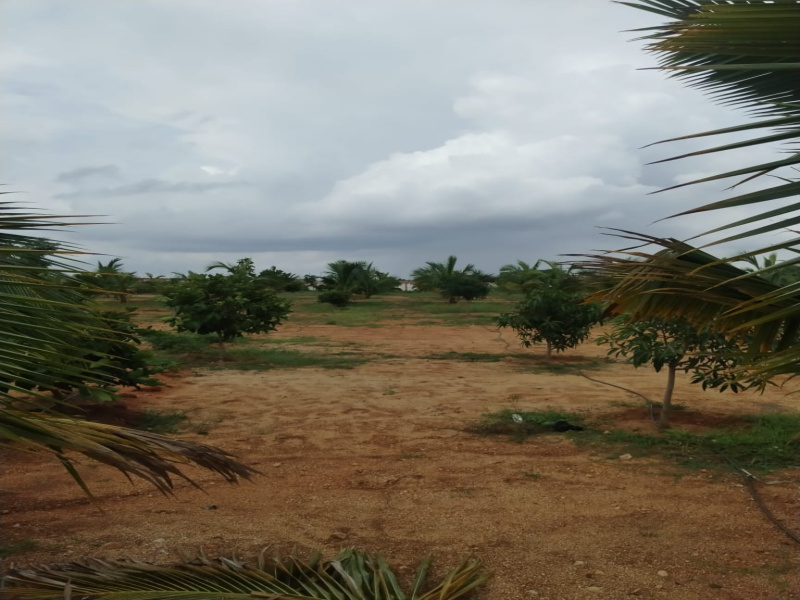 Additional image 3 of Maheshwaram, Hyderabad