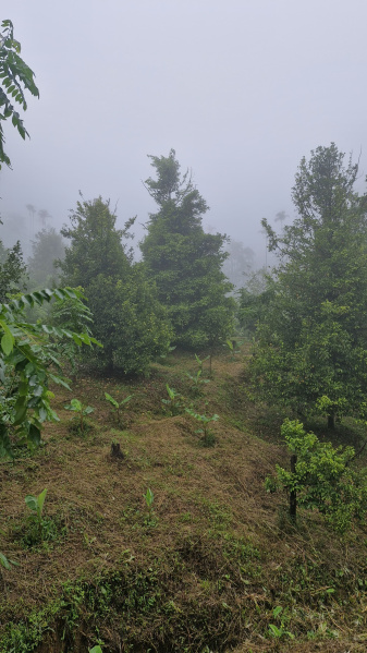 Additional image 3 of Anaikatti, Coimbatore