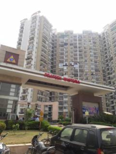 Sector 77, Noida