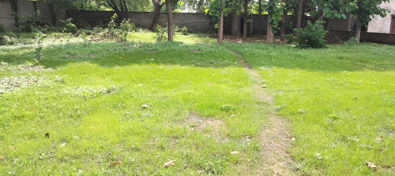 Additional image 2 of Sikandra, Agra