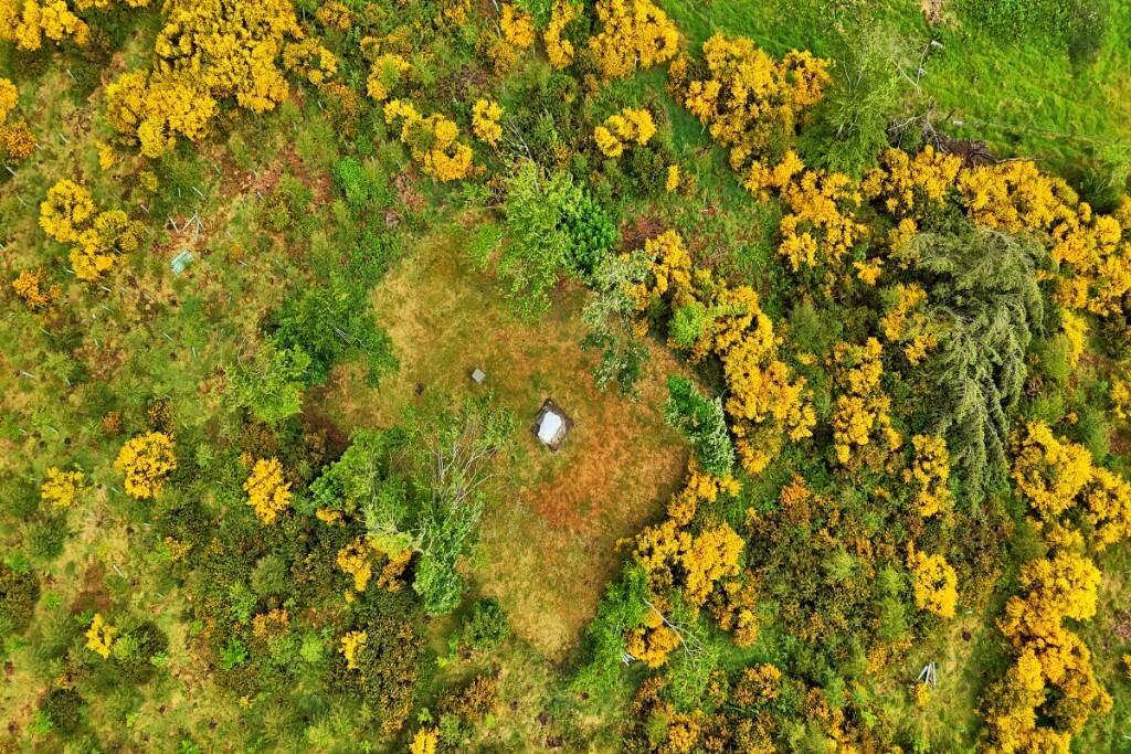 Additional image 16 of Pinewood, Auchencrieve, Methlick, AB41 7DJ