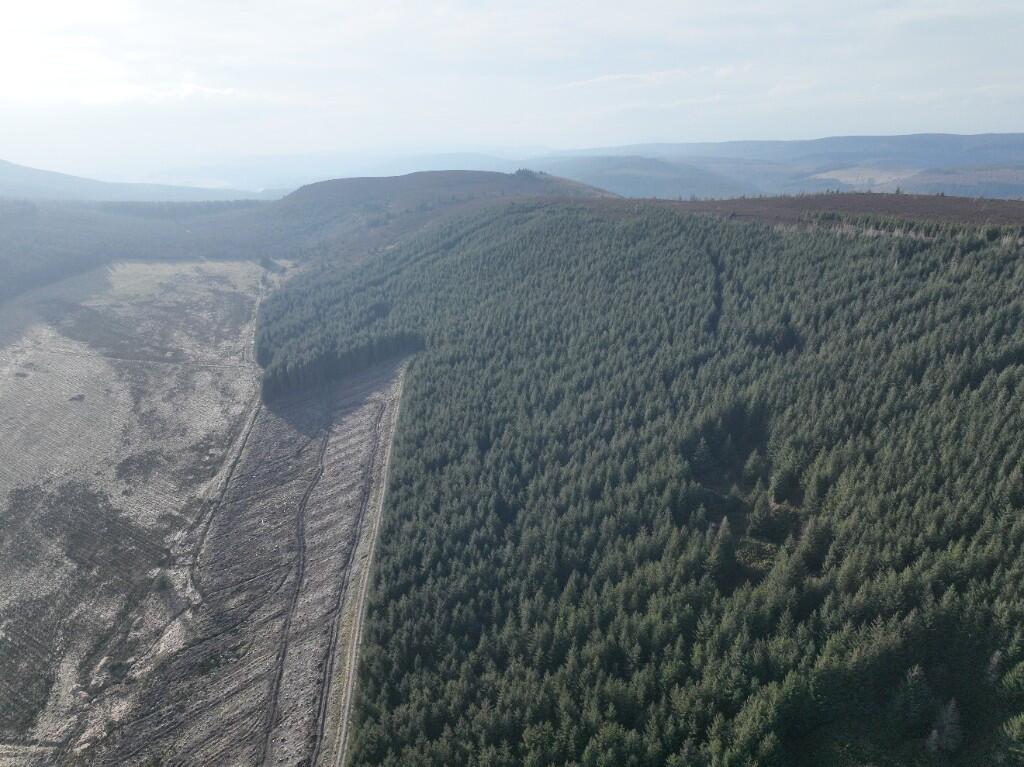Additional image 5 of Glen of Noth Forest, Aberdeenshire AB54