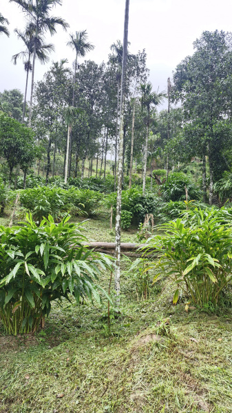 Additional image 2 of Anaikatti, Coimbatore