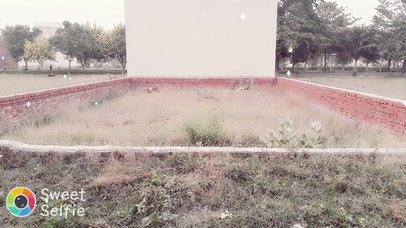 Rohta Road, Meerut