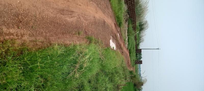 Additional image 2 of Janla, Bhubaneswar