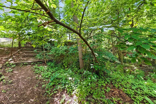 房产图片 41 - 18 Moonglow Pl