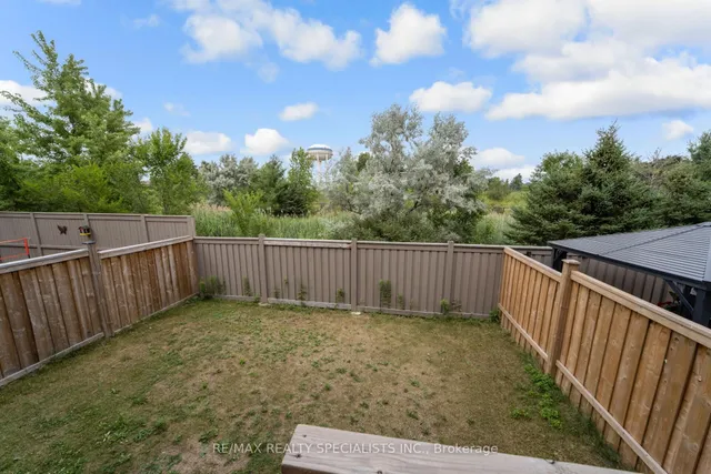 Additional image 38 of 111 Iceland Poppy Tr