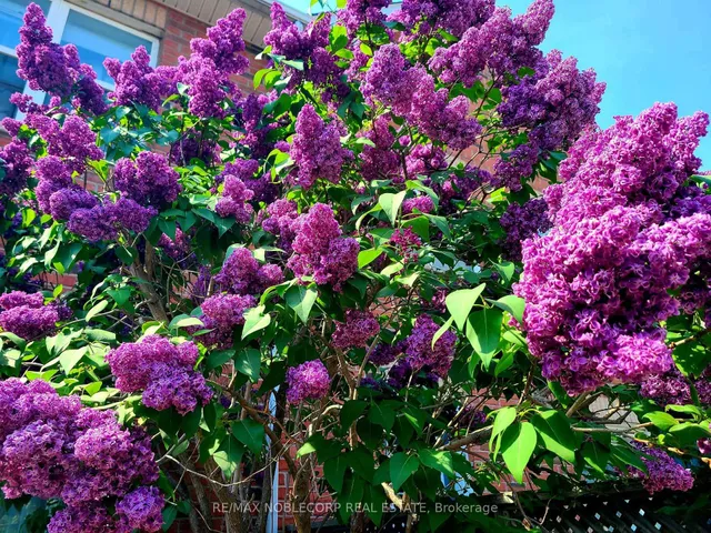 Additional image 34 of D-17 Overlea Blvd