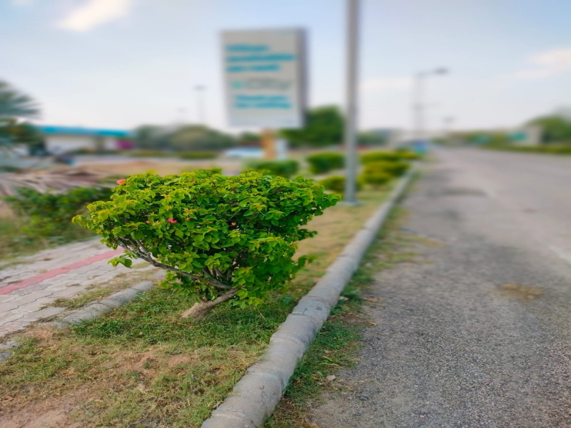 Additional image 2 of Ajmer Road, Jaipur