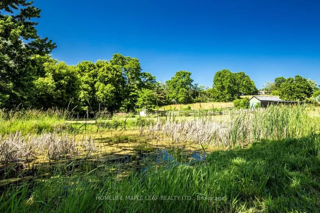 Additional image 33 of 927 #97 Regional Rd