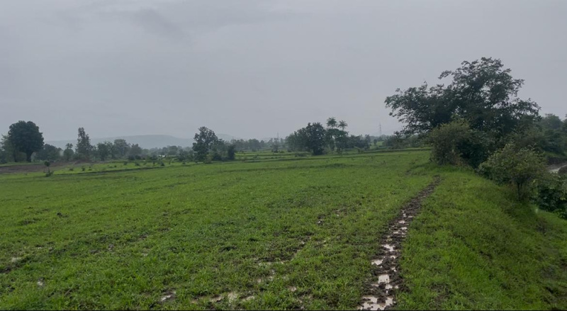 Additional image 2 of Bardoli, Surat